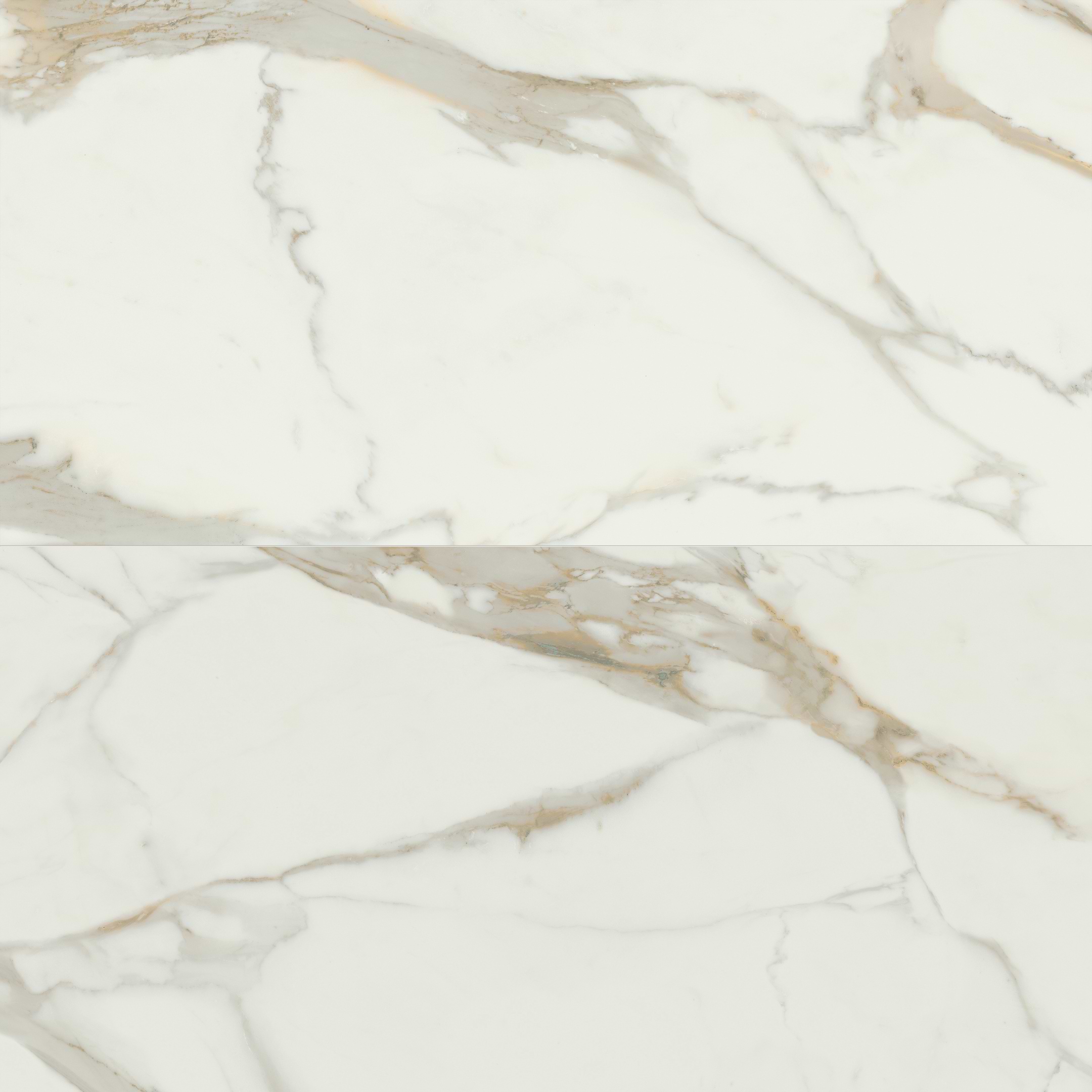 Calacatta Gold 24x48 Matte Porcelain Tile