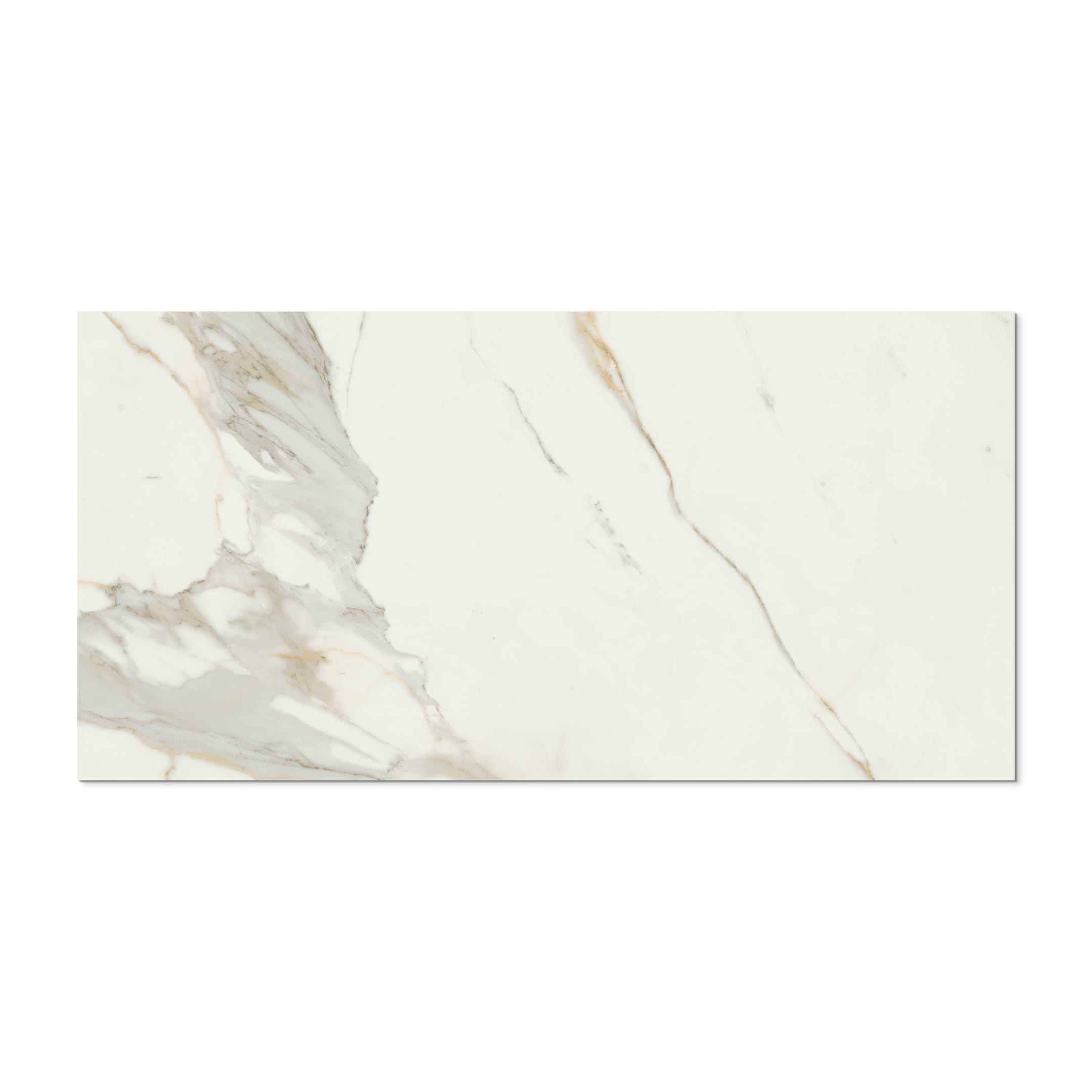 Calacatta Gold 24x48 Matte Porcelain Tile - Image 3