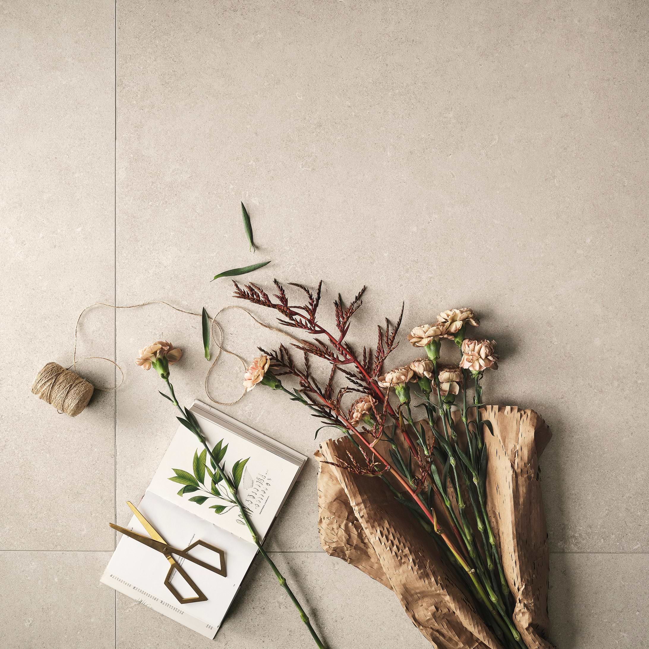 Coquille Champagne 48x48 Matte Porcelain Tile - Image 2