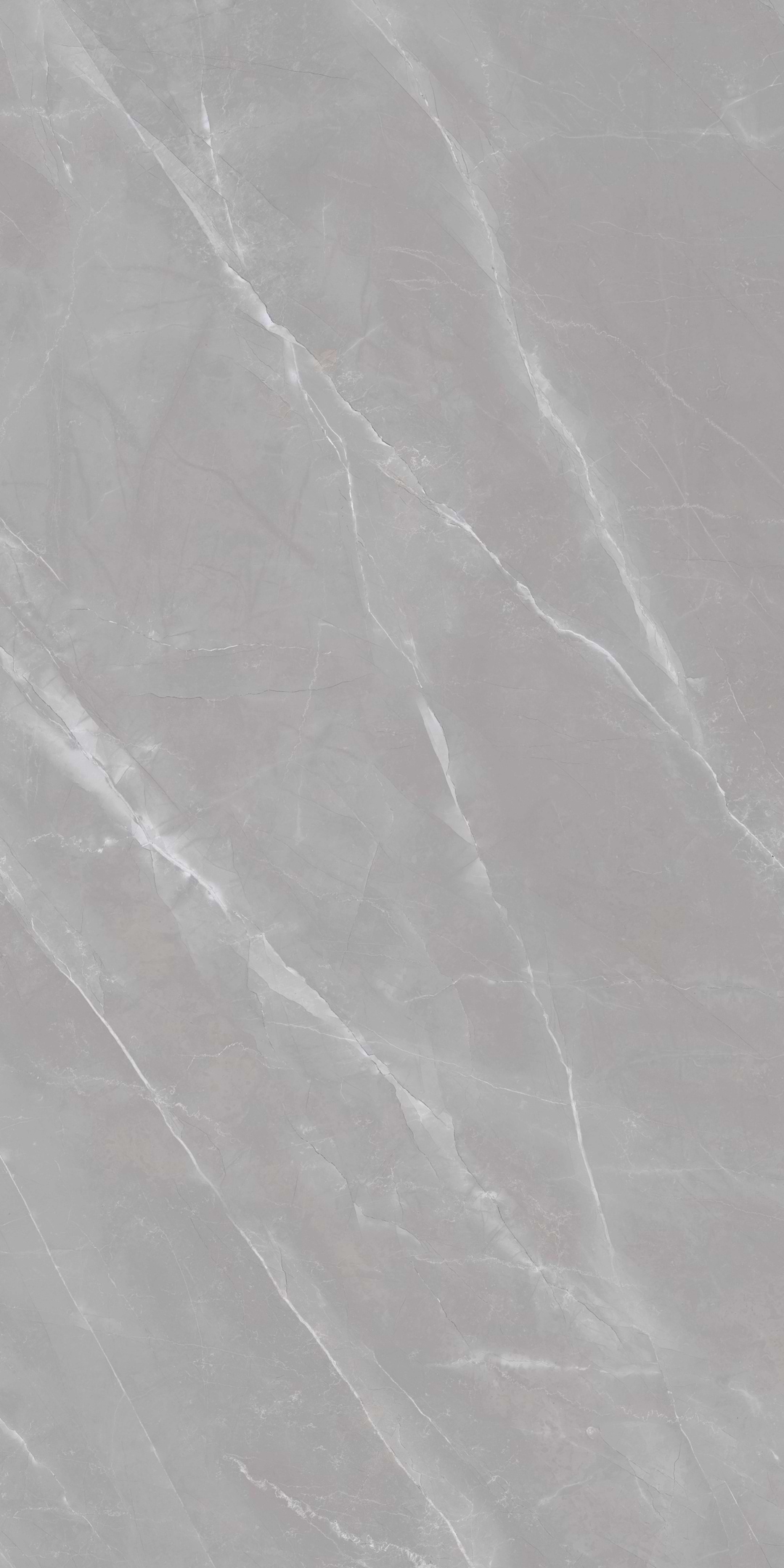 Imperio Armani Grey 64x128 Matte Porcelain Slab - Image 4