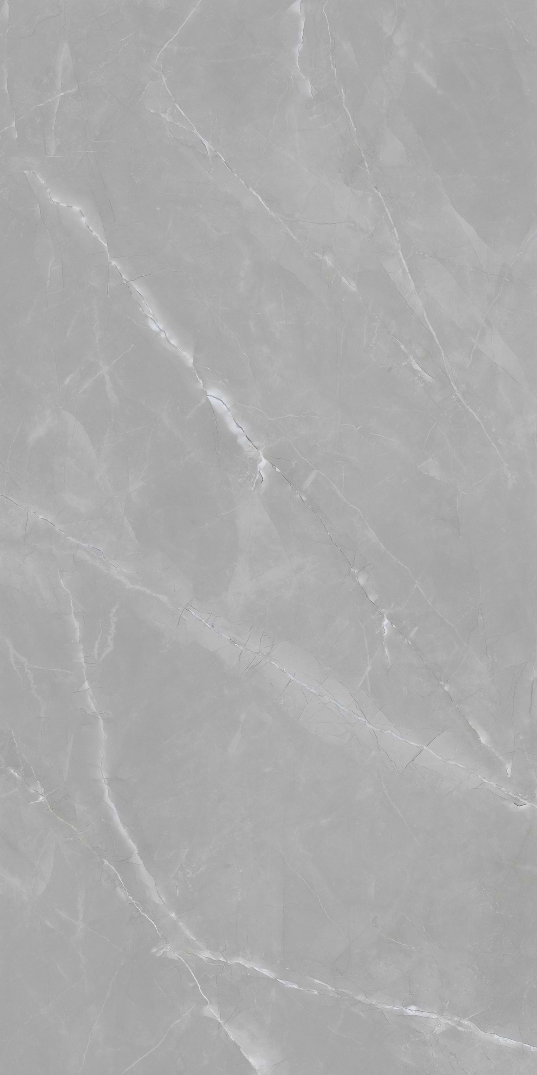 Imperio Armani Grey 64x128 Matte Porcelain Slab - Image 3