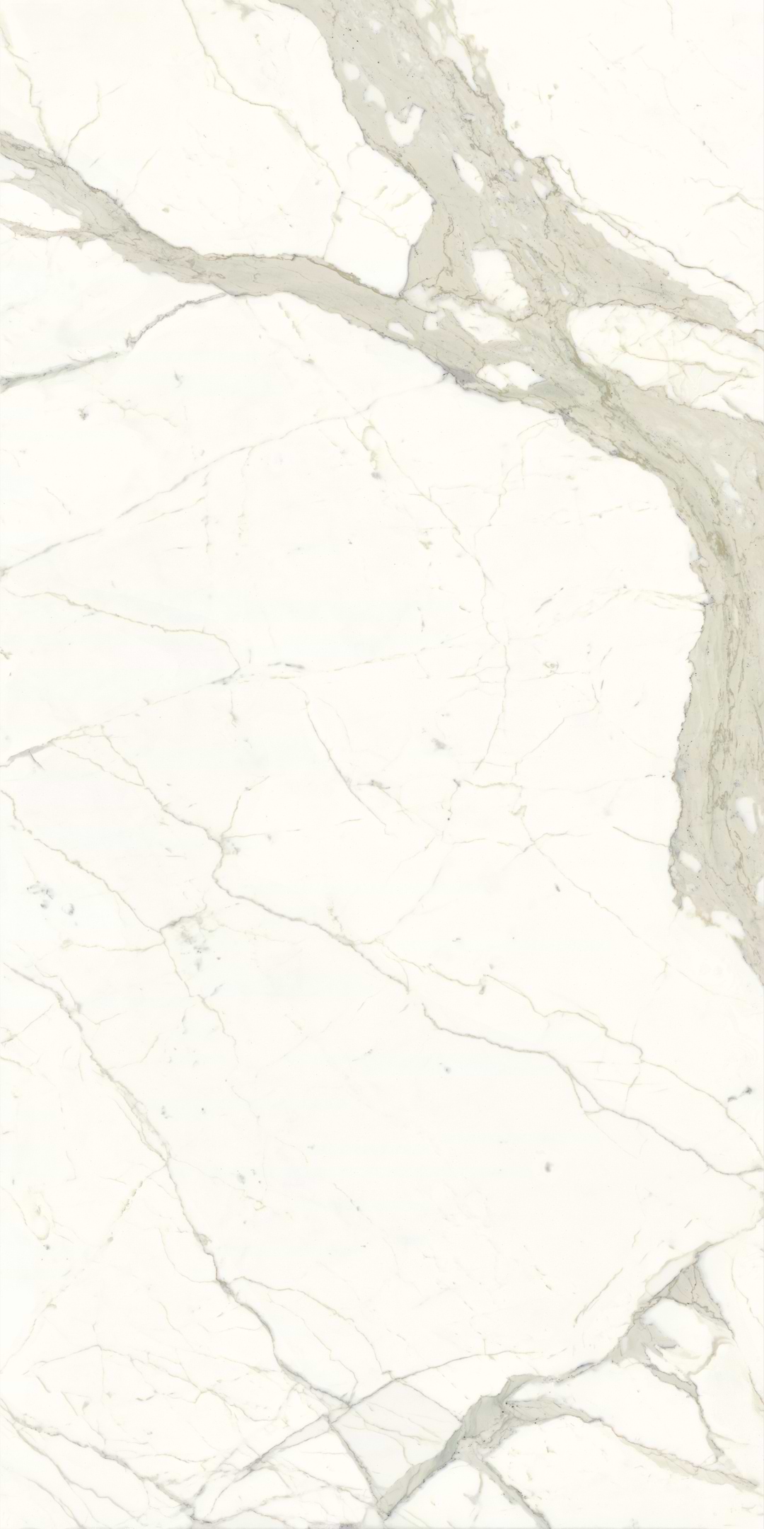 White Calacatta (Face 2) 59x118 Polished Porcelain Slab