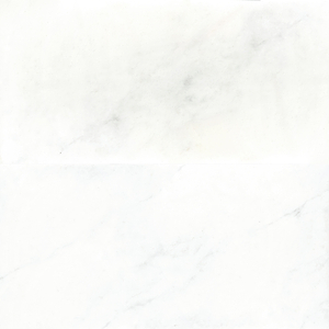 Prestigio Carrara 30x60 Matte Porcelain Tile