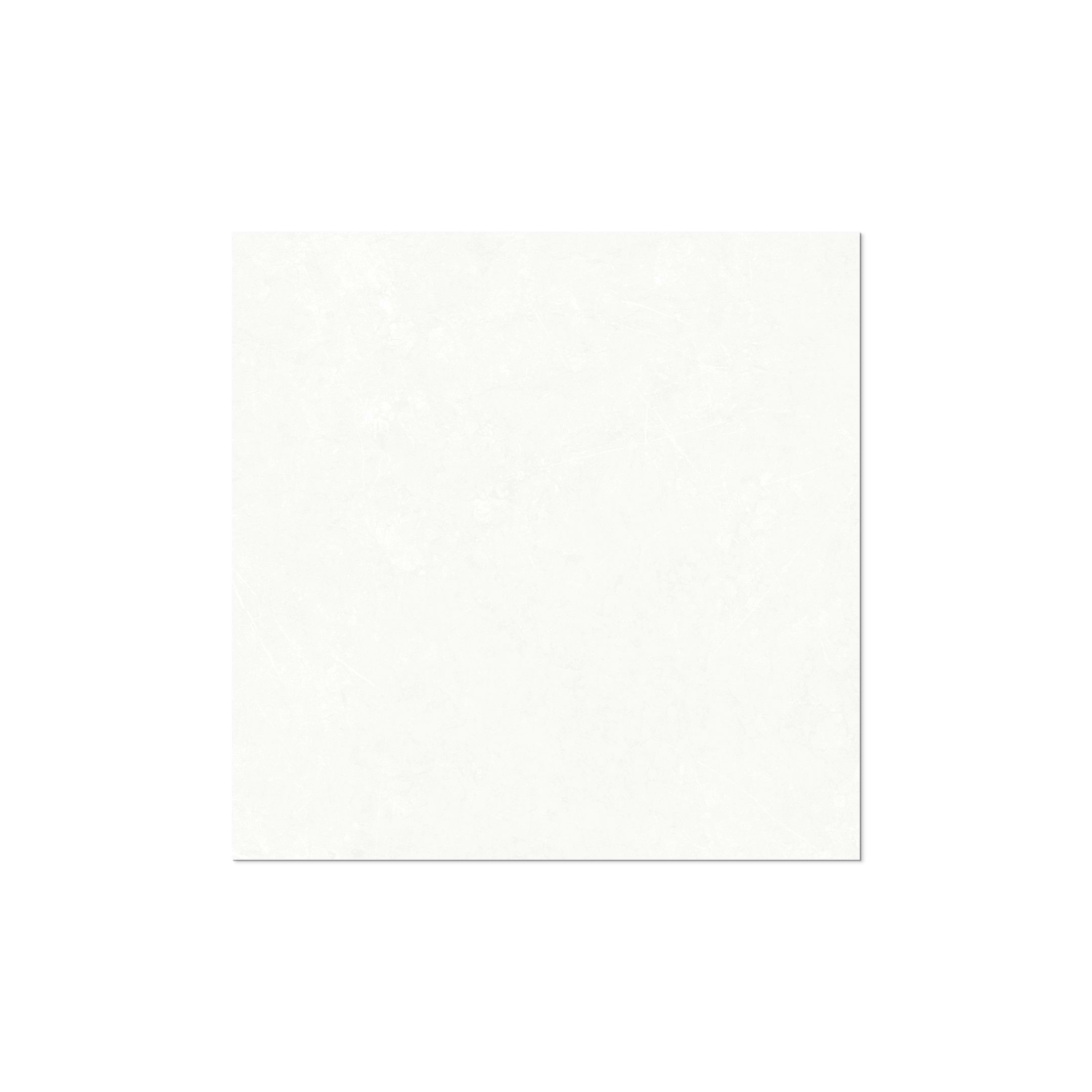 Alfie Blanco Polished 24x48 Rectified Porcelain Tile - Image 2