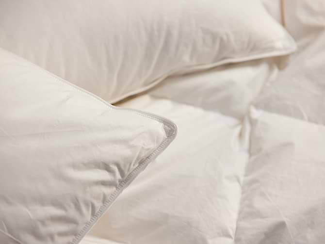 Fyldt med forrygende fjer