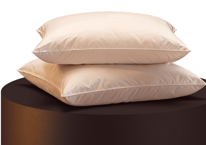 2 x Primaloft-kuddar