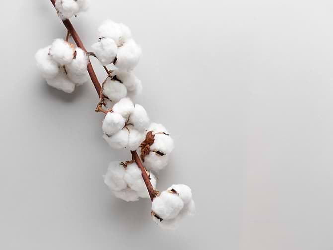 En letthet, som sjeldent er sett