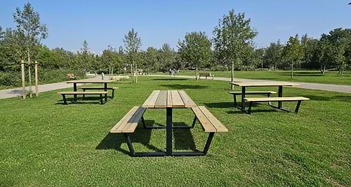 שולחן קק״ל Forest
