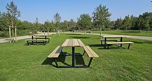 שולחן קק״ל Forest