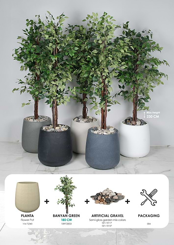 עציץ PLANTA + עץ פיקוס קצוות לבנים מלאכותי – בגובה 180 ס