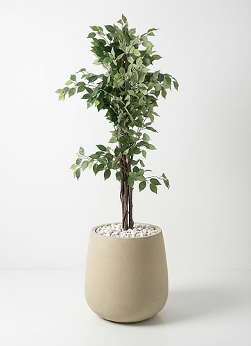 BEIGE GRANITE