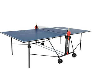 שולחן פינג פונג פנים Champion100