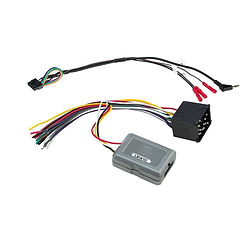 BMW Mini LINK+ Interface
