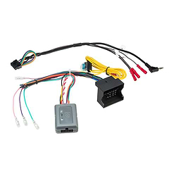 BMW Mini LINK+ Interface