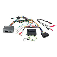 Ford LINK+ Interface