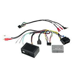 Range Rover Sport LINK+ Interface