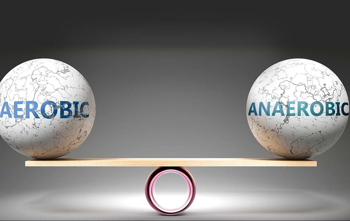 What Is the Difference Between Aerobic and Anaerobic Exercise?