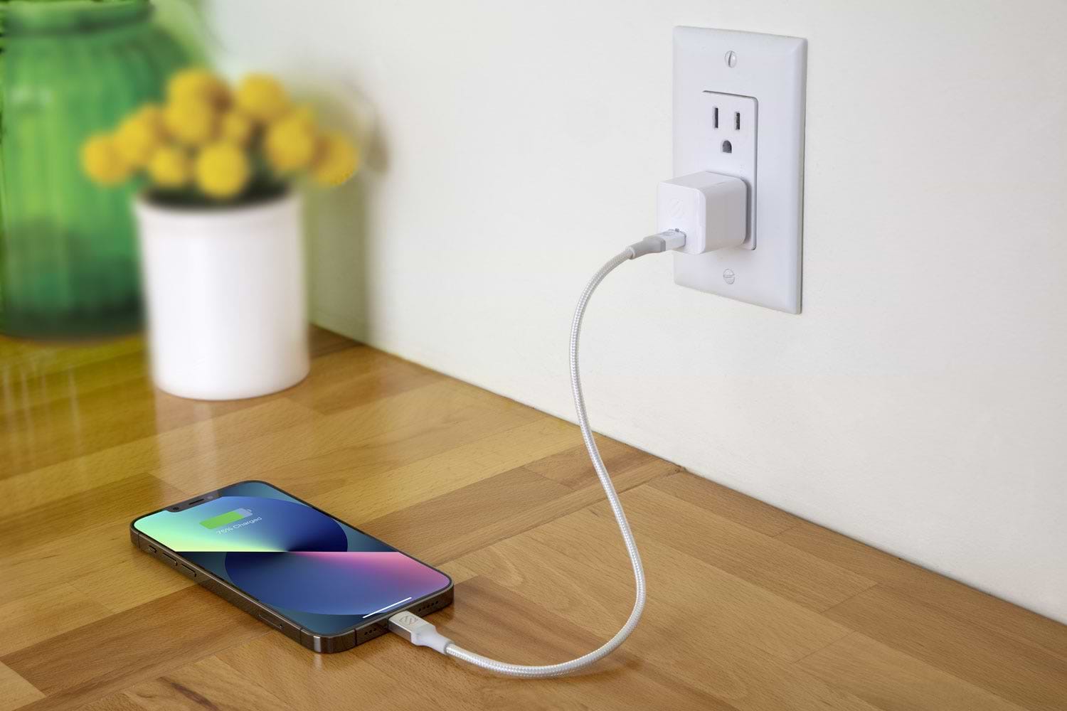 Identifying iPhone Fast Charging Indicators