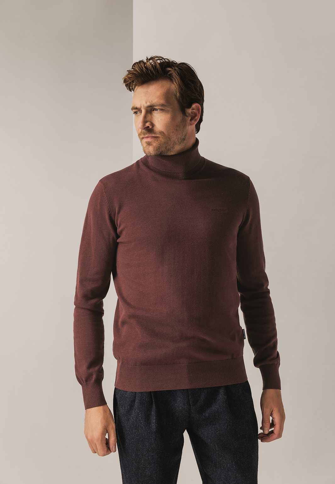 Pull-à-col-roulé-coupe-classique-en-coton