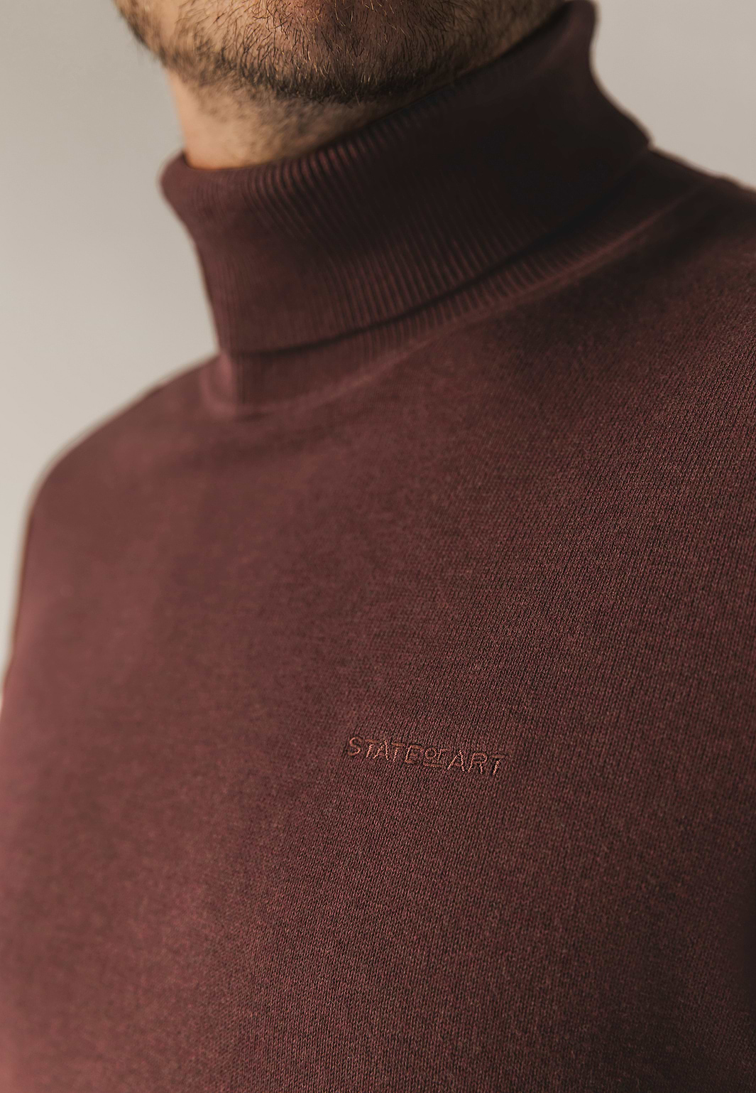 Pull-à-col-roulé-coupe-classique-en-coton