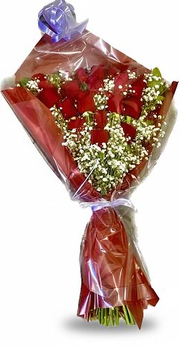 Sweet rose 
