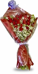 Sweet rose 
