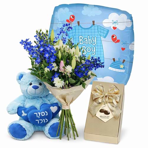 Baby Prince Premium