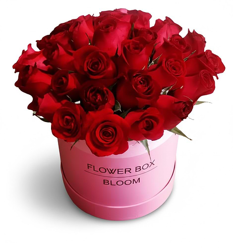 flower in pink box