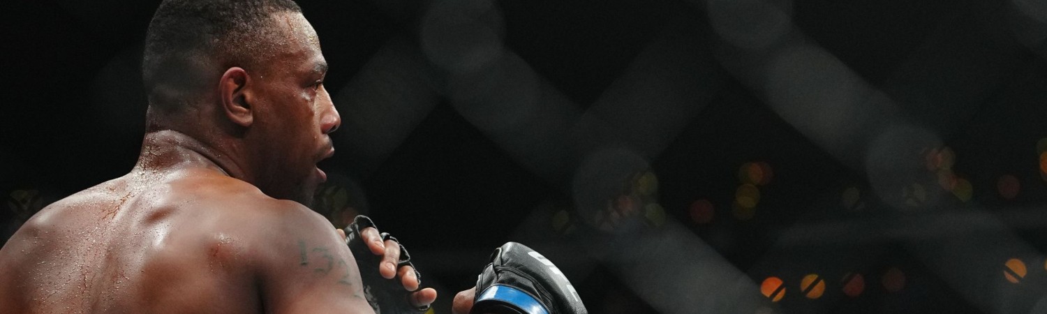 UFC Fight Night_ Hill vs Rountree