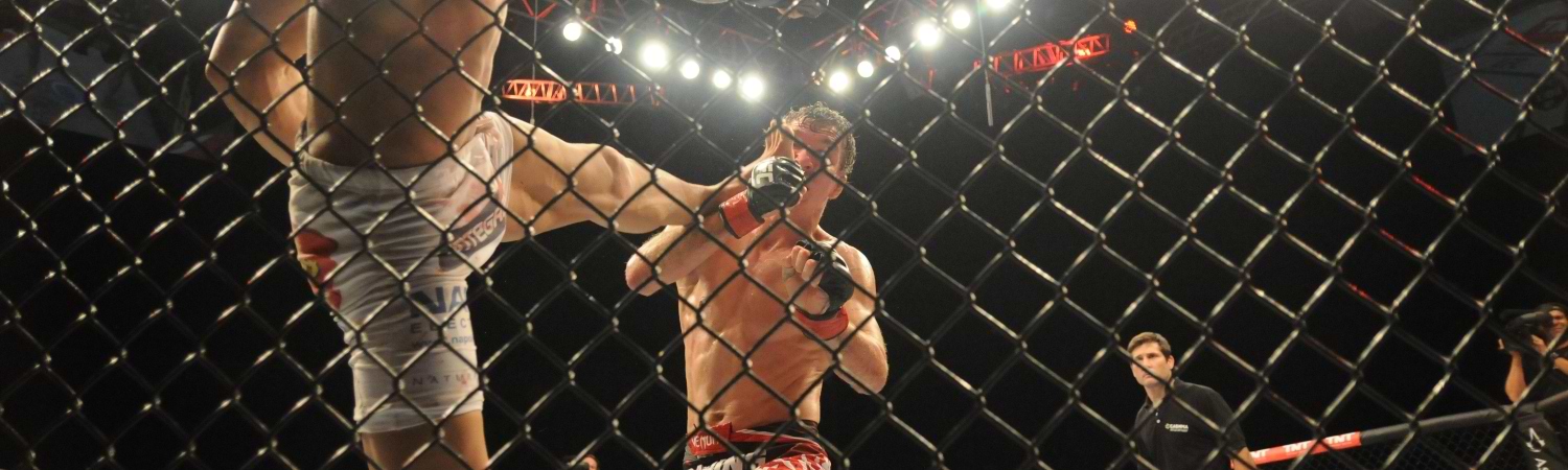 UFC - RING PELEA Arbitro - PELEA