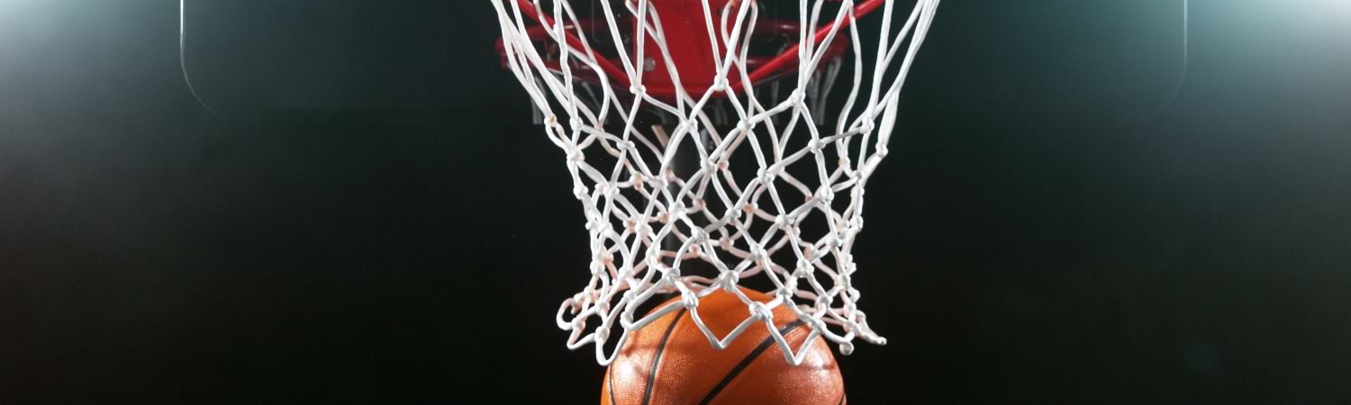 pelota basketball encestada