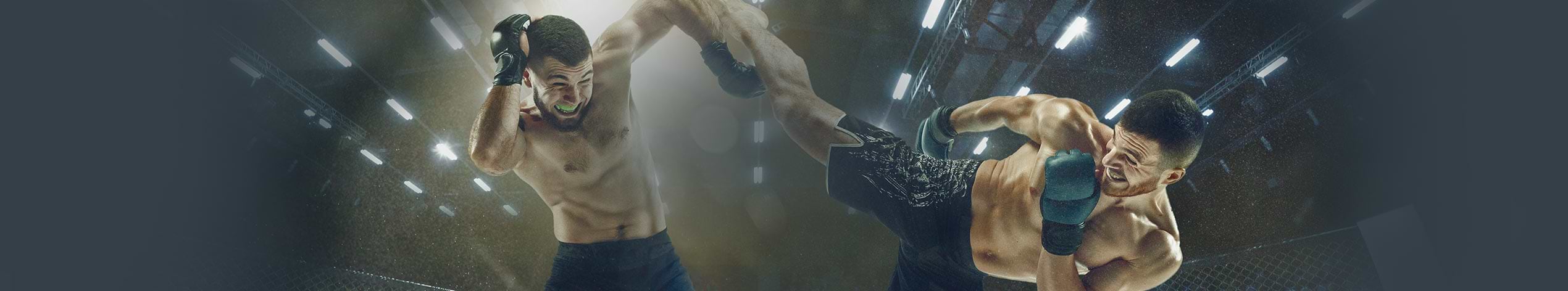 UFC Header