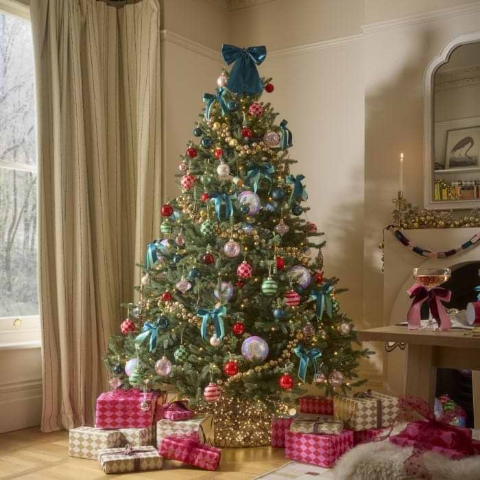 How to Choose a Christmas Tree: Your Complete Buying Guide