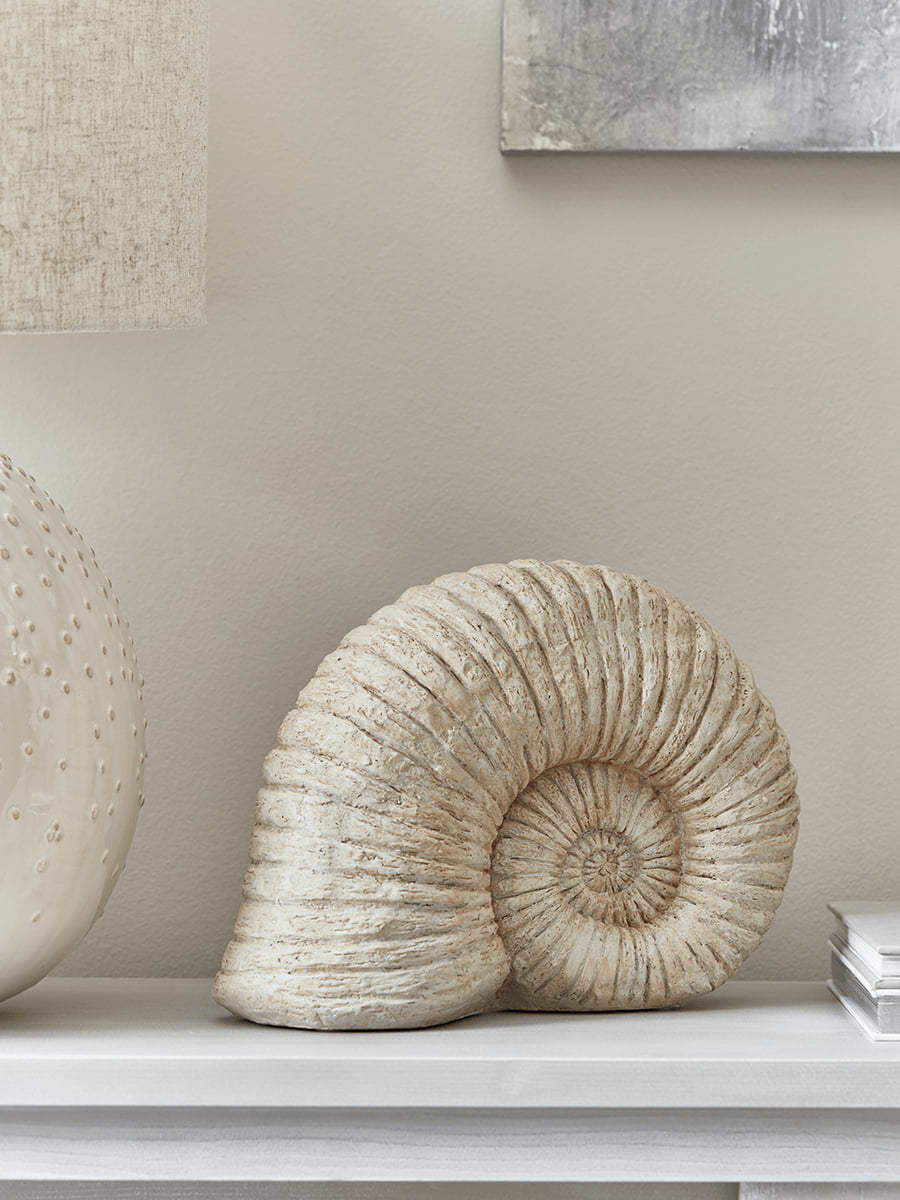 Faux Ammonite