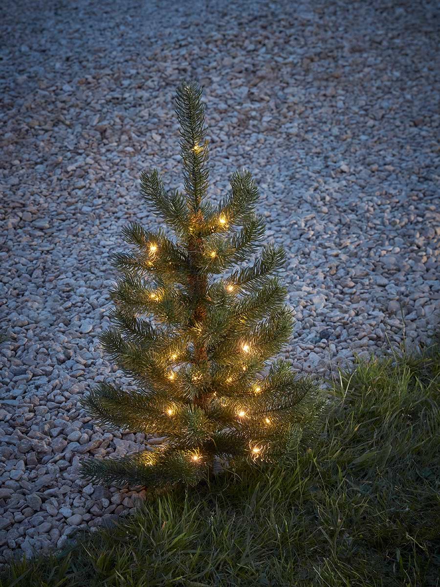 Light Up Pottable Pine Tree - Small