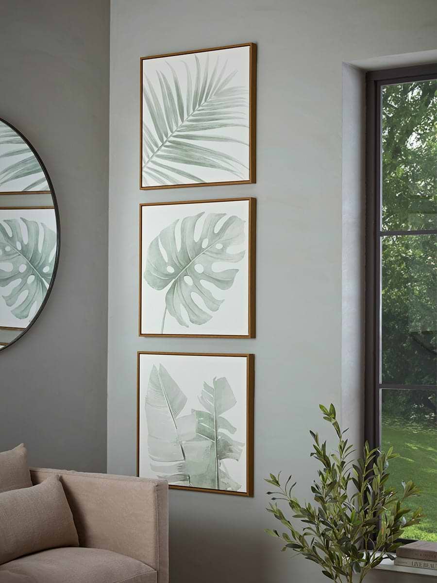 Three Framed Leaf Prints