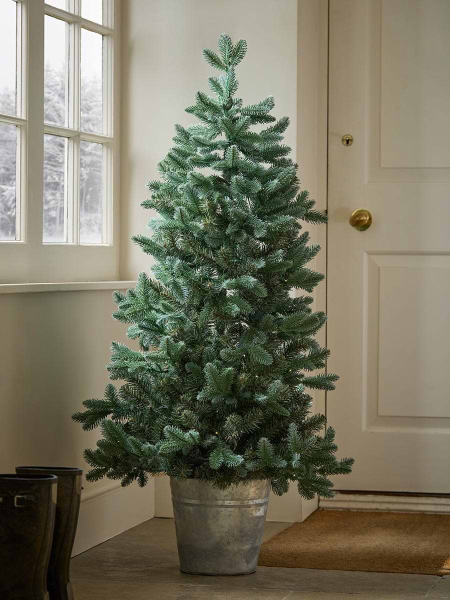 Indoor Outdoor Fabulously Full Fir Tree - Potted