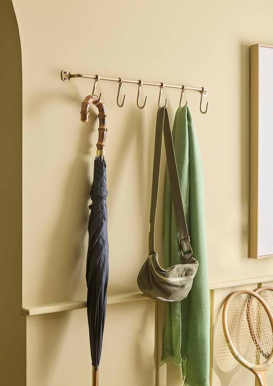 Storage Rail with Hooks