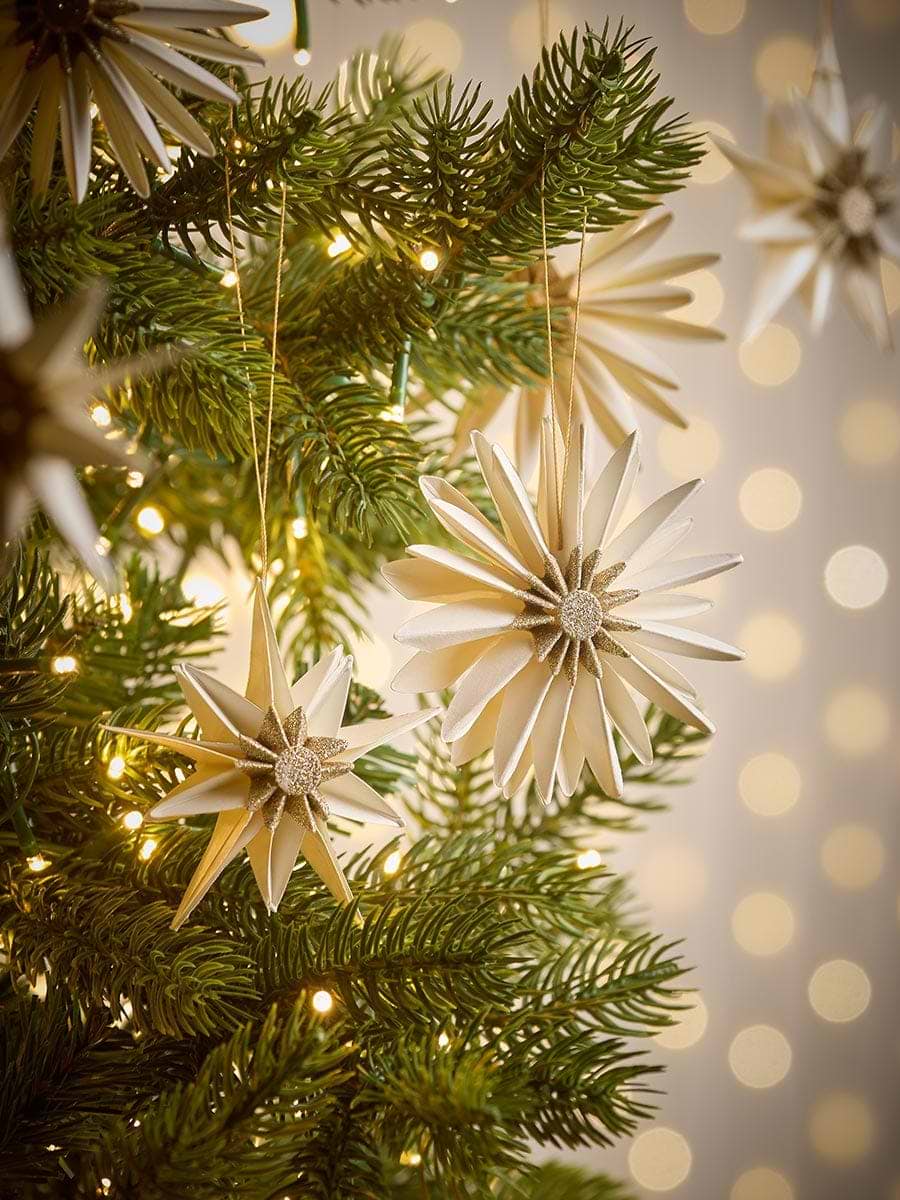 Six Luxury Paper Stars - Cream & Gold