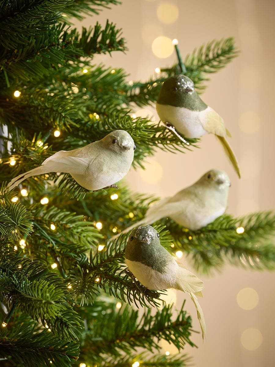 Four Feathery Bird Clips