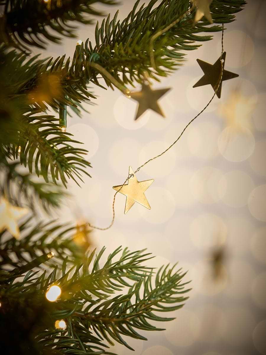Metal Star Garland