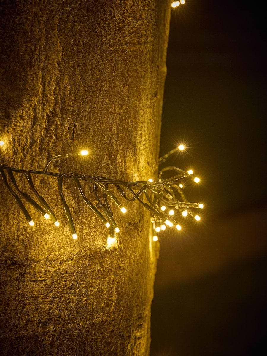 Cluster Lights - Warm White - Large