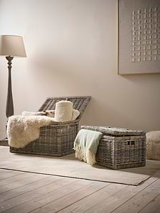 Two Rattan Storage Chests