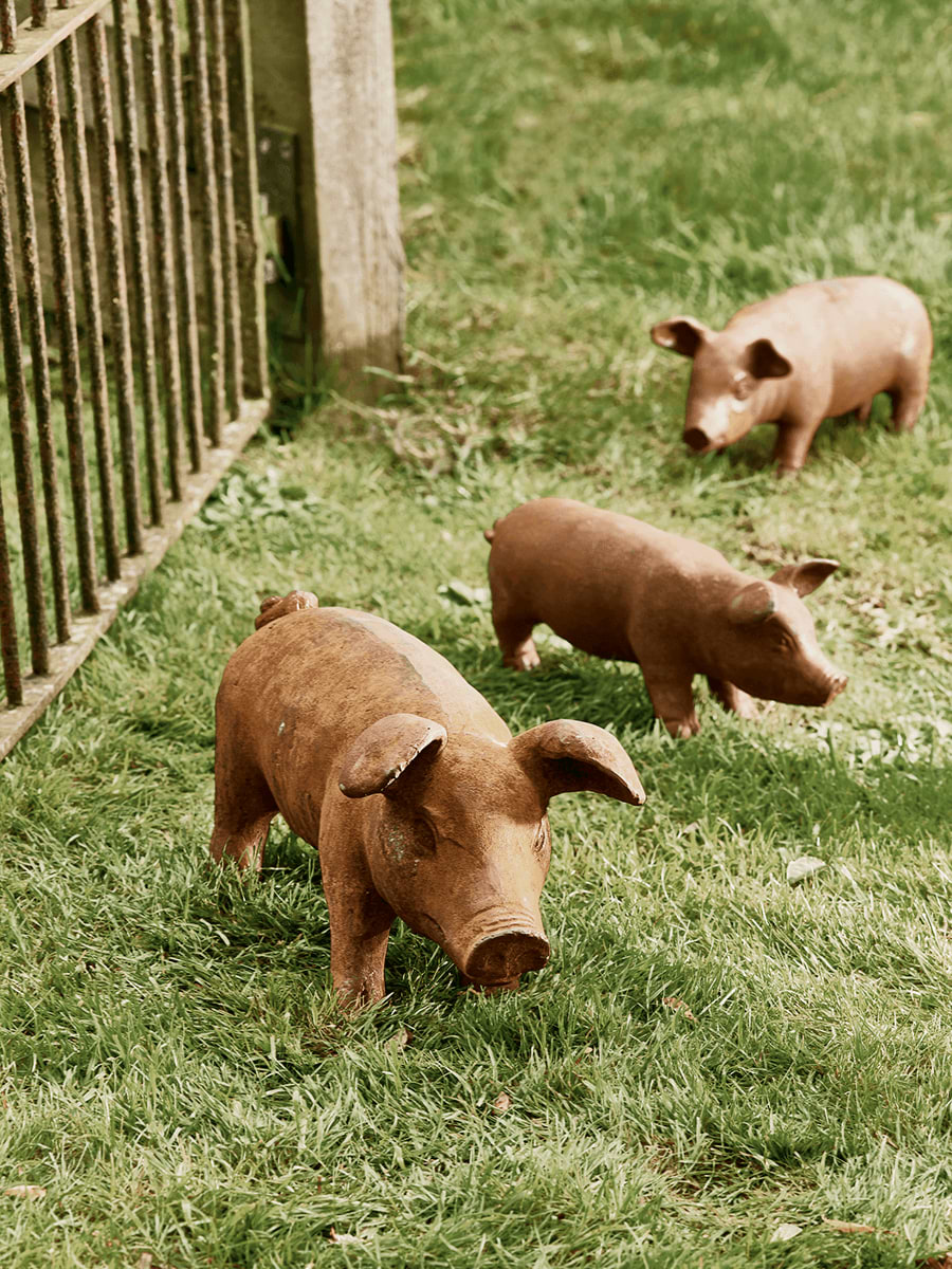 Rusty Pigs 