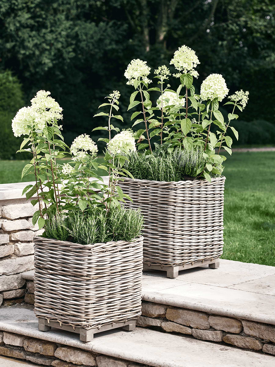 Two Indoor Outdoor Square Rattan Planters