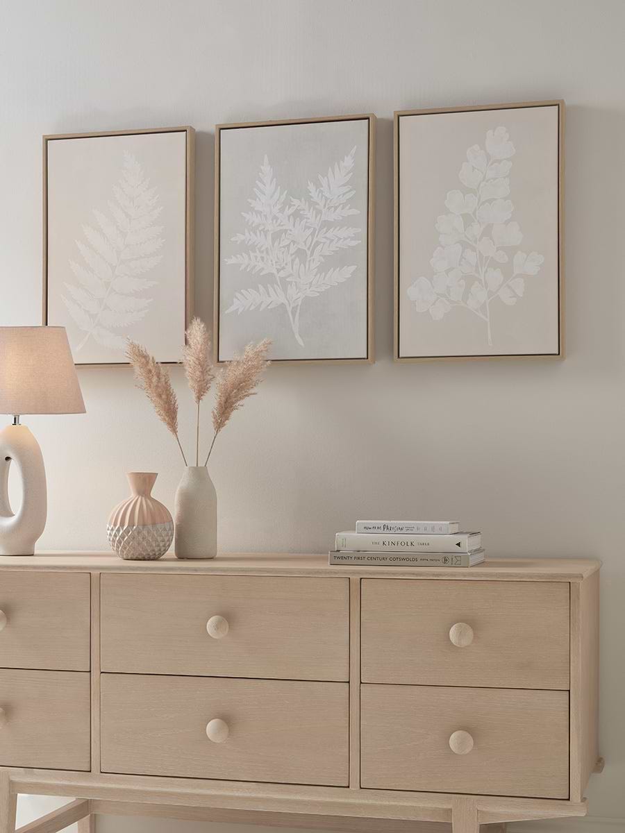 Three Framed Fern Canvases