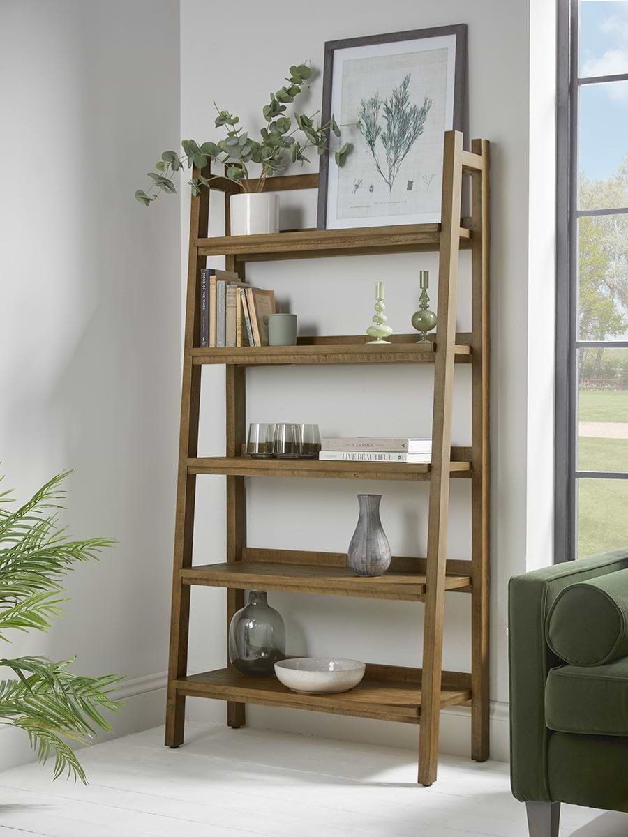 Ladder Bookshelf