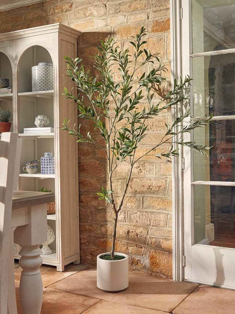 Faux Potted Fruiting Olive Tree - Small