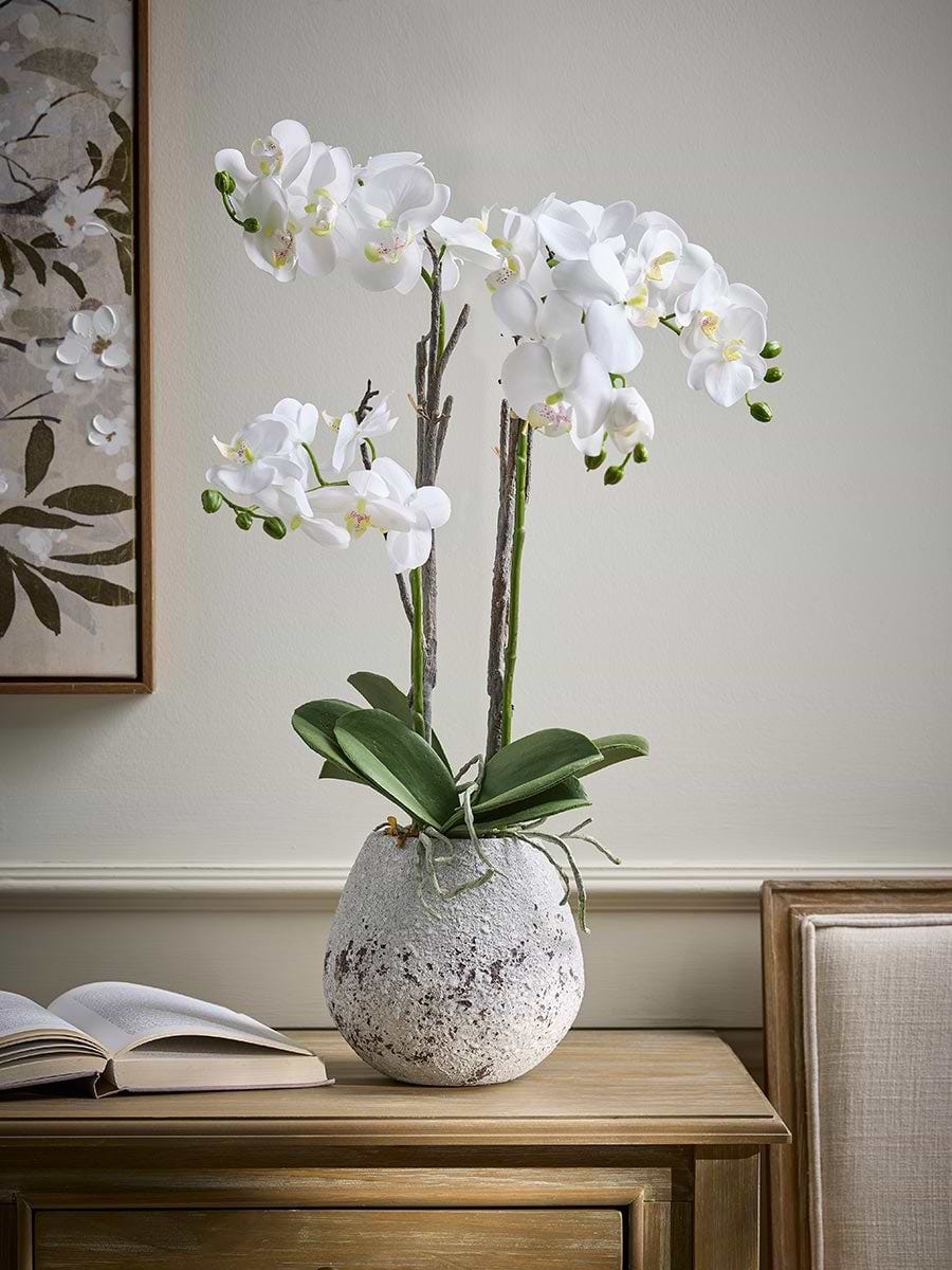 Faux Potted Wild Orchid - Small