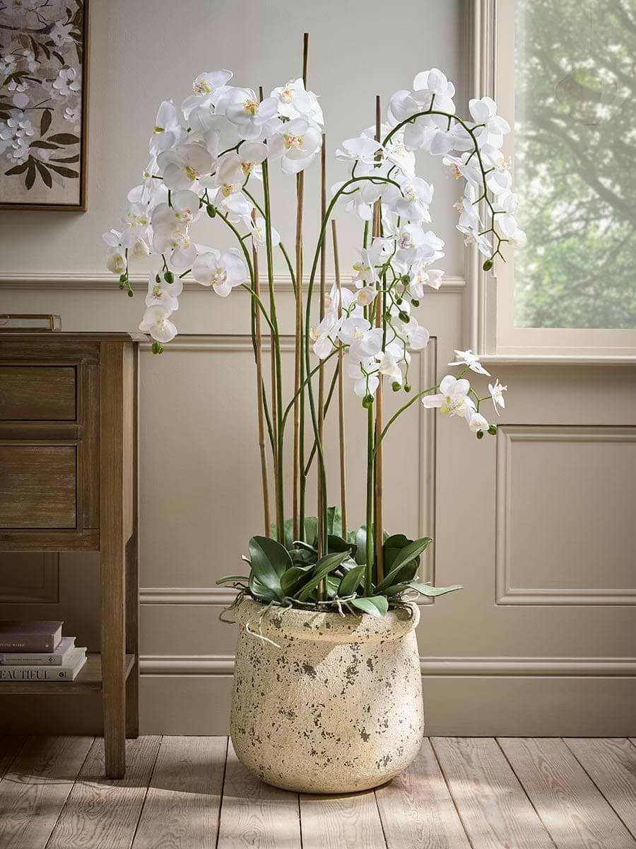 Faux Potted Wild Orchid - Extra Large
